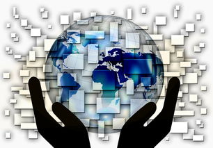 国家滑板协会公布全国青少年排名更新机制，国家滑板队训练中心